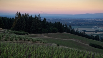 EVENT - Visionary Vineyards - Koosah